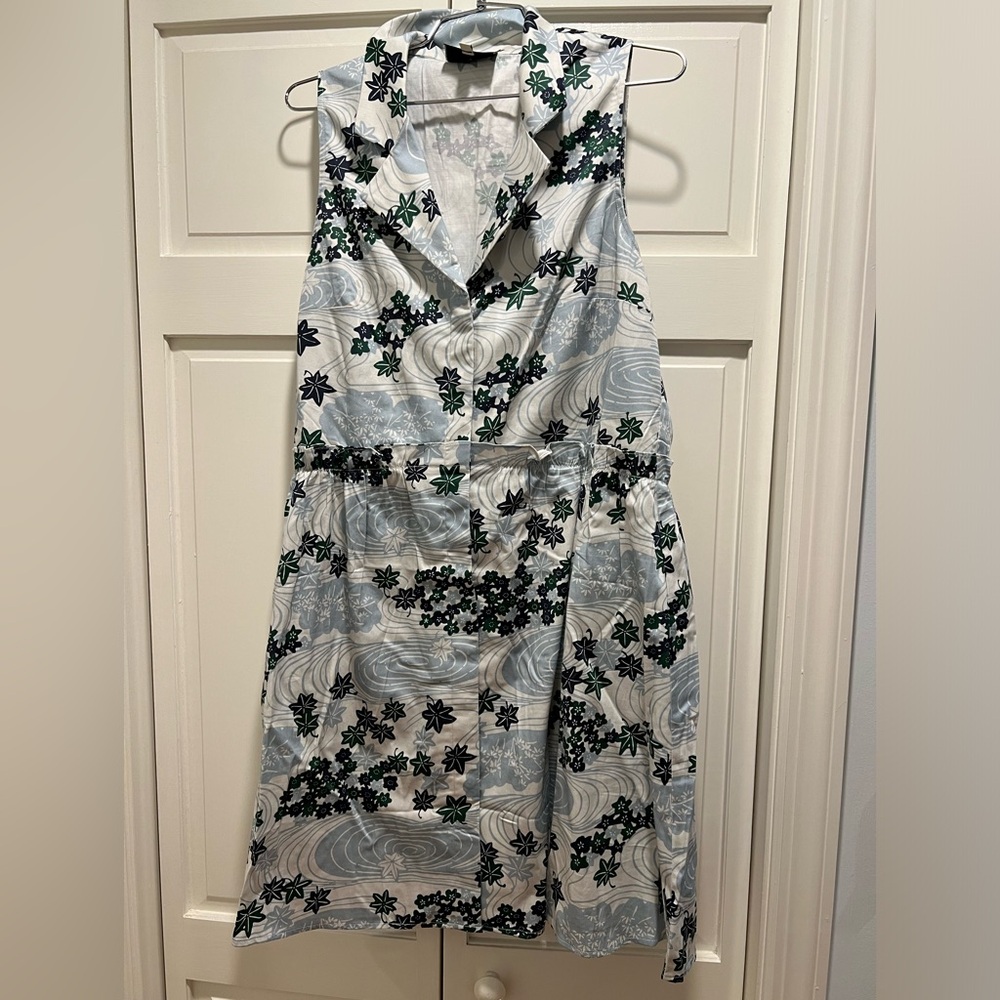 Tuckernuck shirt dress